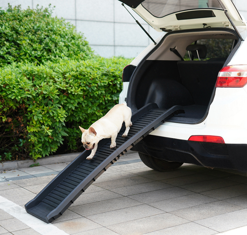 Portable Folding Dog Ramp for Cars & SUVs | Non-Slip Pet Loading Ramp