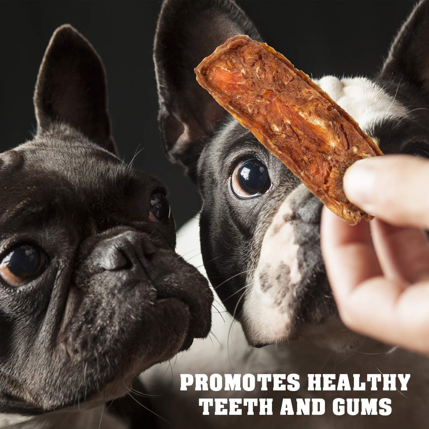 Premium Chicken Jerky Dog Treats – 1.5 lb