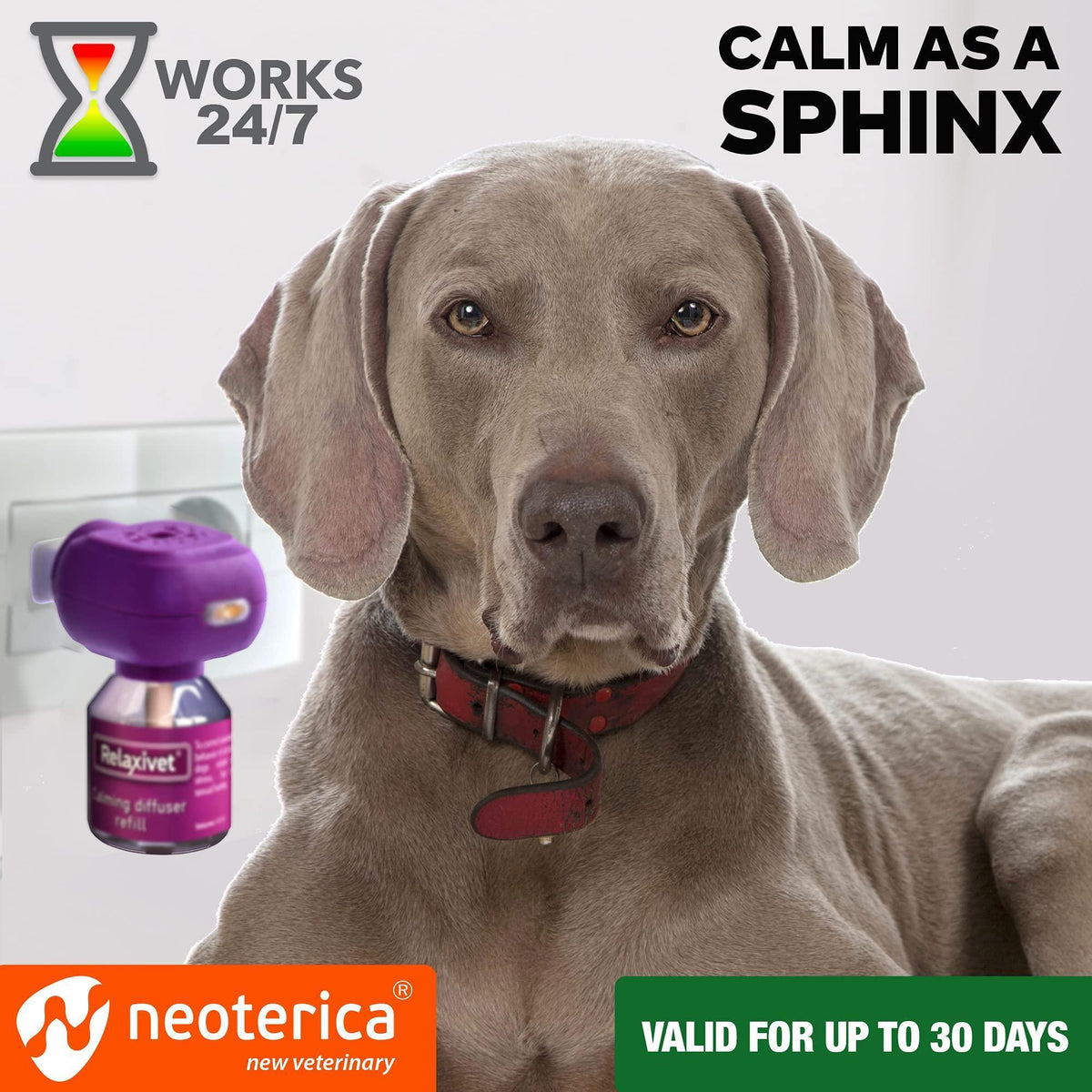 Dog Calming Diffuser Kit – Helps Reduce Stress & Separation Anxiety